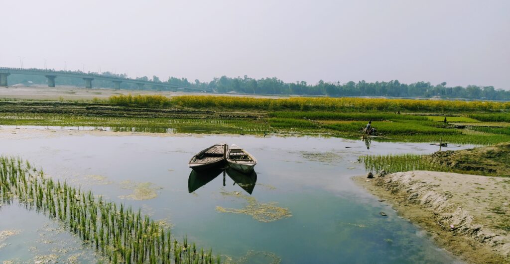 A rice-growing field in Bangladesh, the image illustrates the protection of biodiversity.