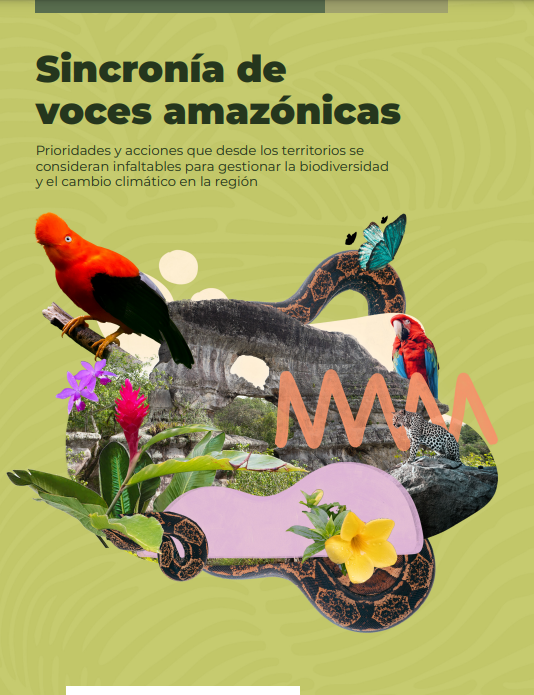 Cover image of Sincronía de voces amazónicas: Prioridades y acciones que desde los territorios se consideran infaltables para gestionar la biodiversidad y el cambio climático en la región