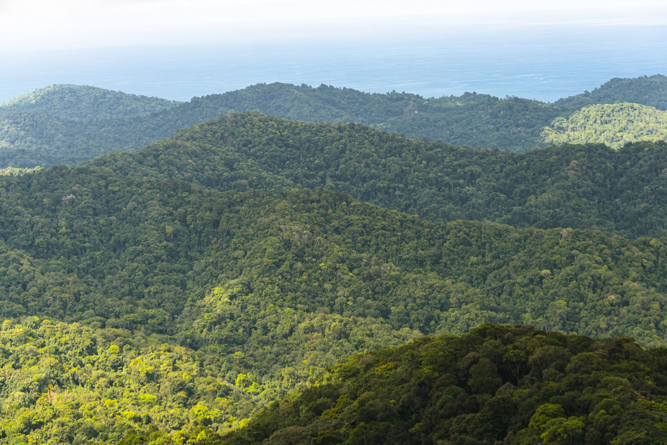 Hazy view over undulating Northern Range mountain in Las Lapas, Blanchisseuse Road Trinidad with densely vegetated tropical forest and coastline