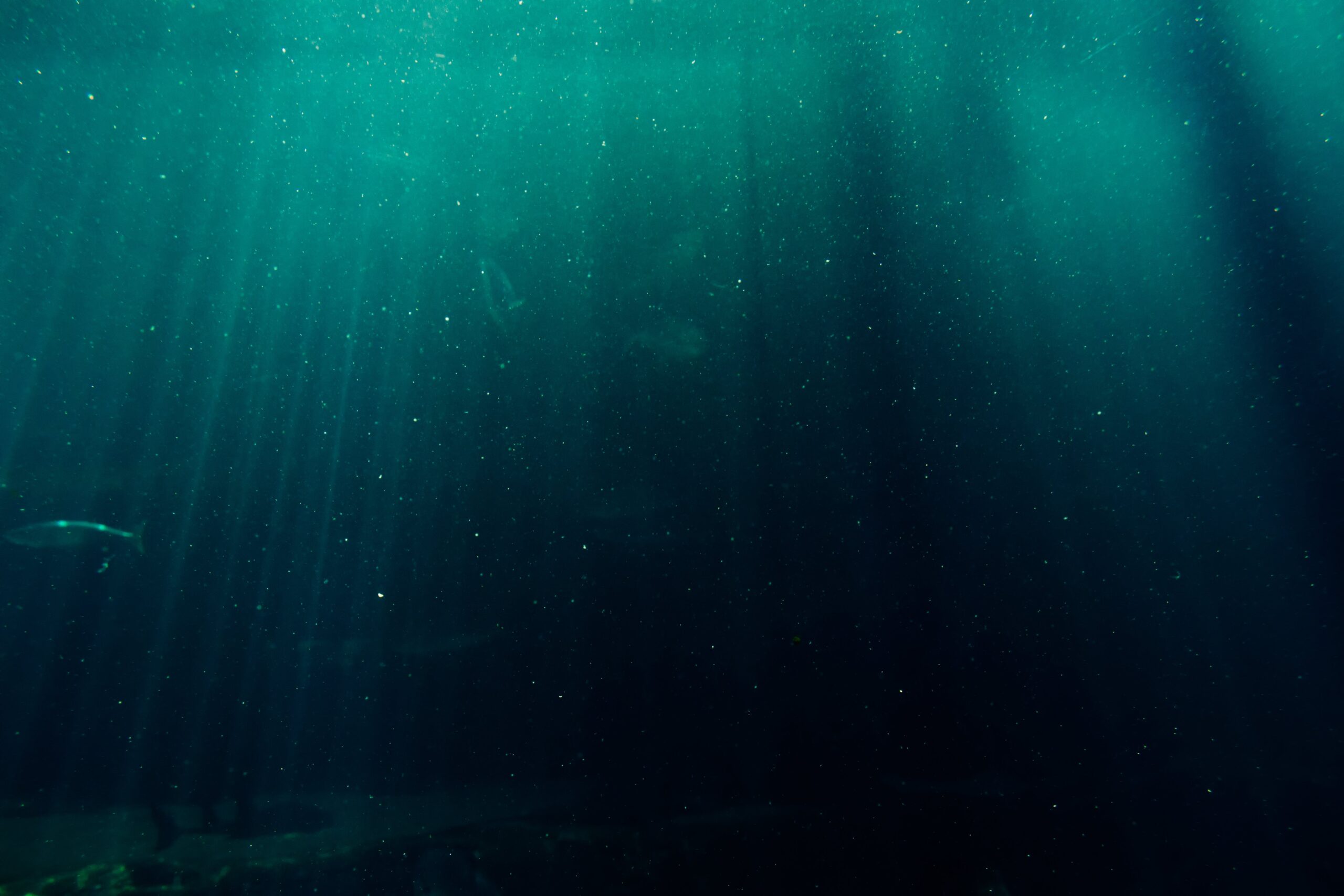 Photo of the sea underwater