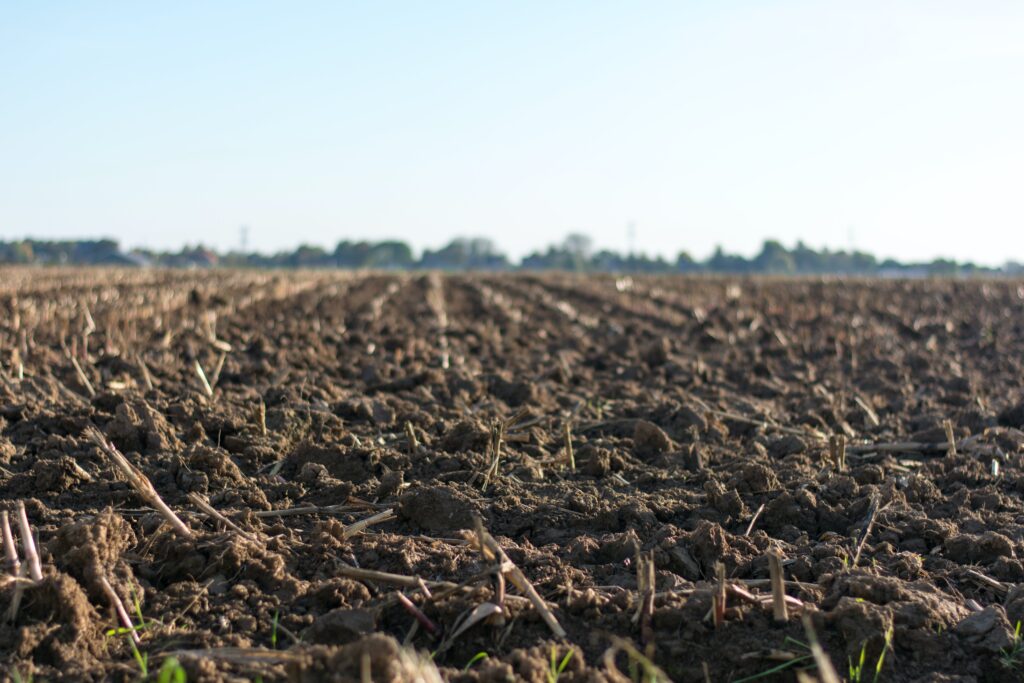 Image of land or soil