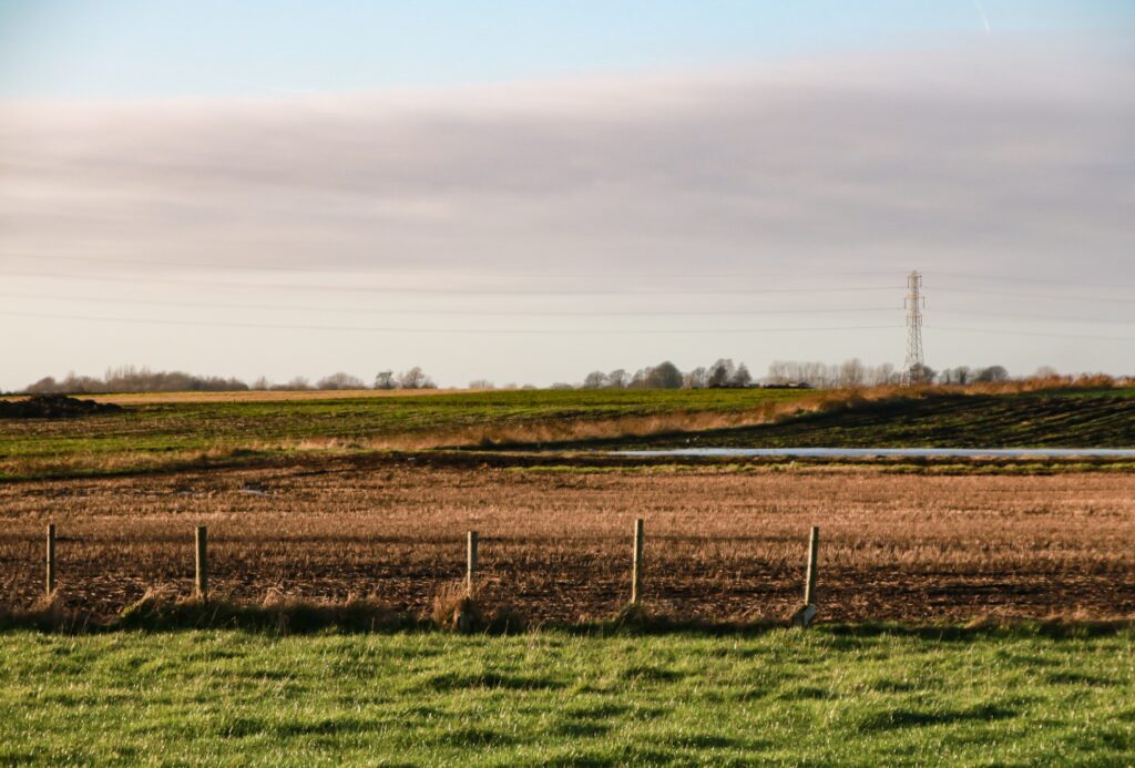 Beautiful shot of a field with white clouds in a clear sky