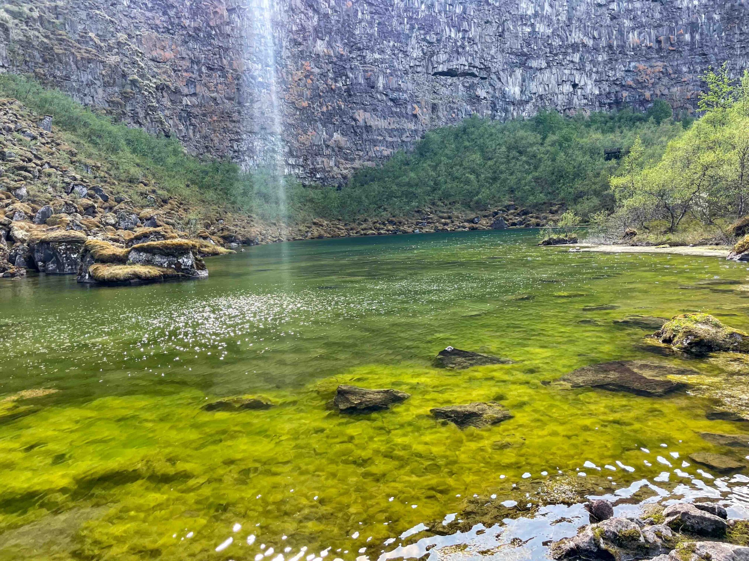 A vibrant freshwater scene with clear, green waters, a delicate waterfall in the distance, and sunlit foliage on rocky terrain, exuding serenity.