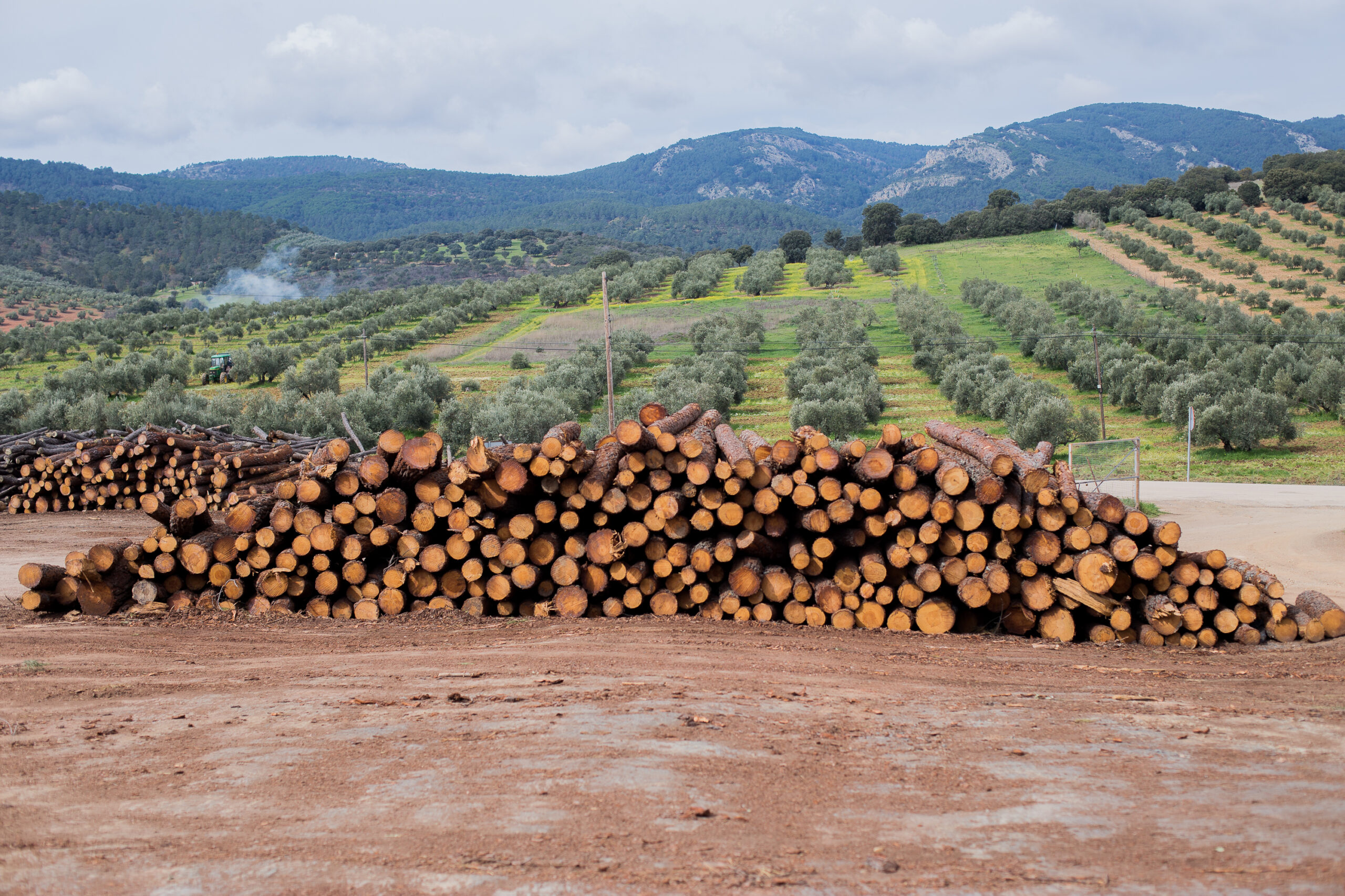 Photo of a farm with logs in front