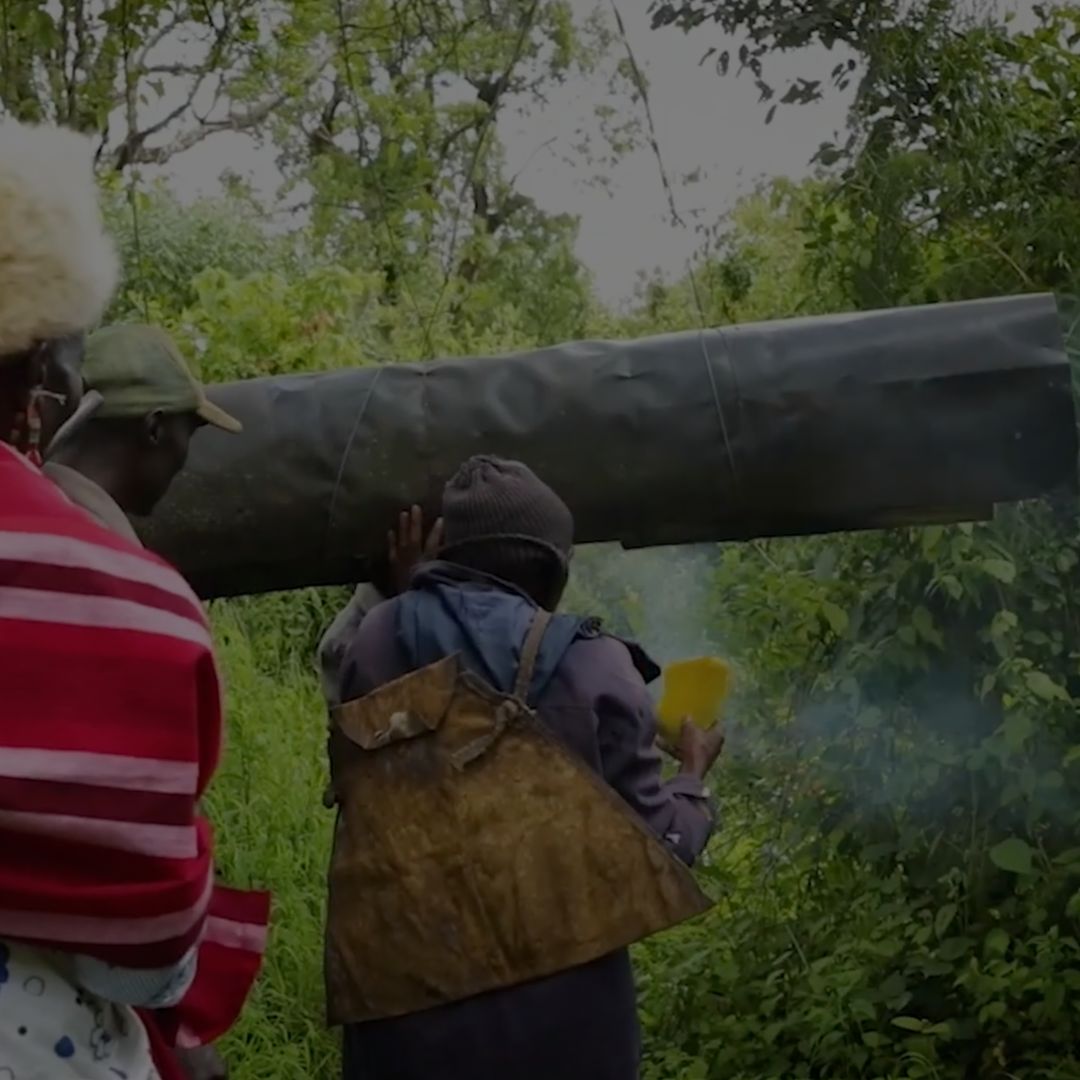 Community members in Eburu, Kenya, carrying a rolled-up beehive through a lush green forest, with smoke visible in the air.