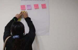 Trialogos por la vida thumbnail image