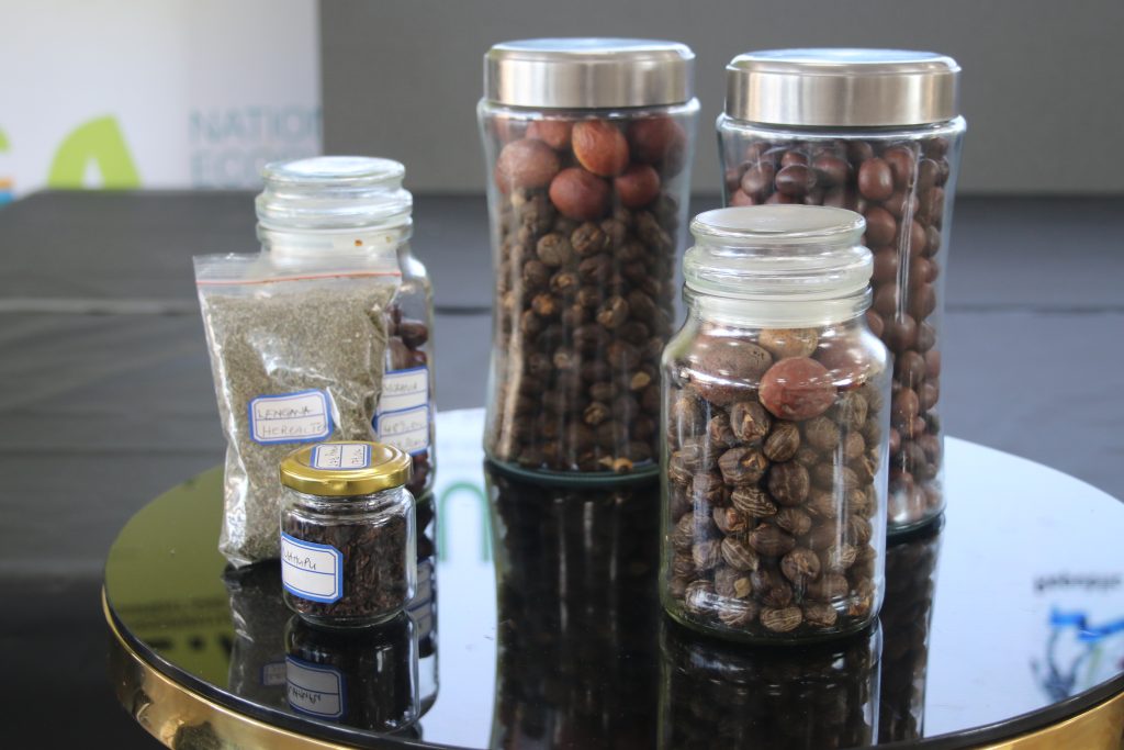 Image courtesy of the Botswana NEA Comms Team