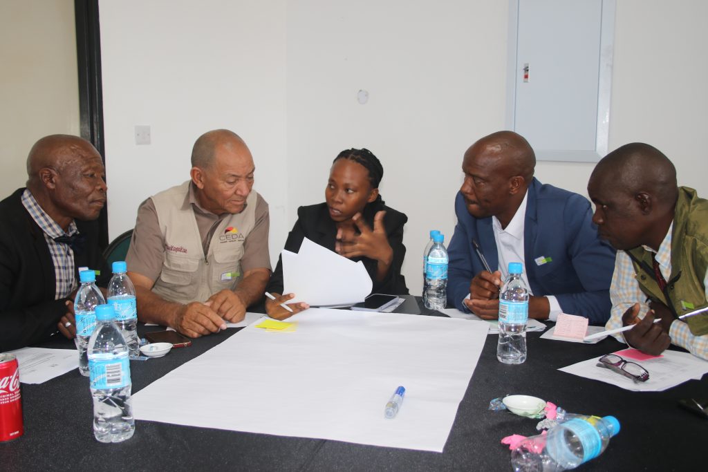 Image courtesy of the Botswana NEA Comms Team