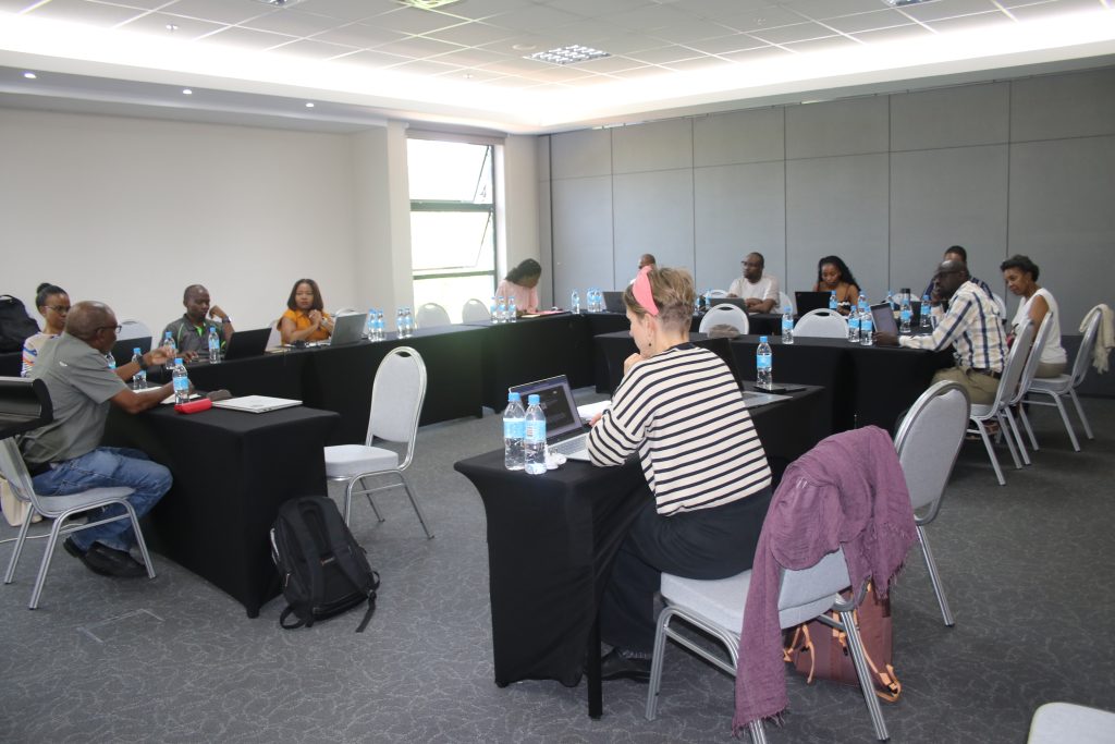 Image courtesy of the Botswana NEA Comms Team