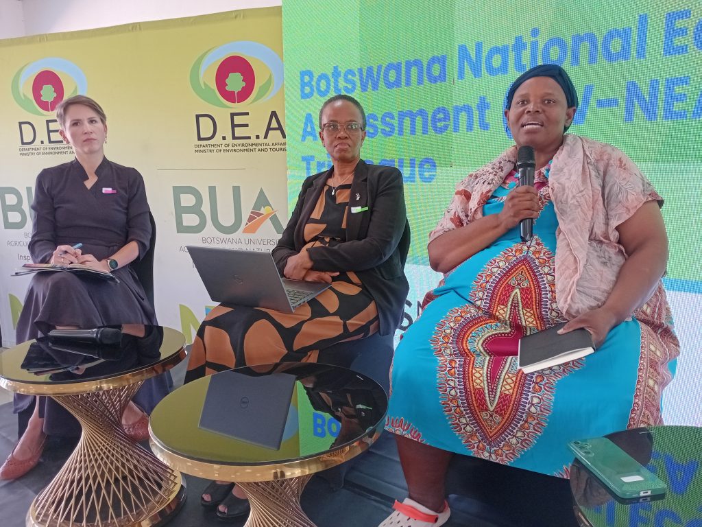 Image courtesy of the Botswana NEA Comms Team