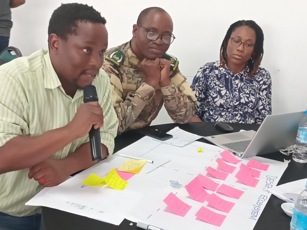 Image courtesy of the Botswana NEA Comms Team