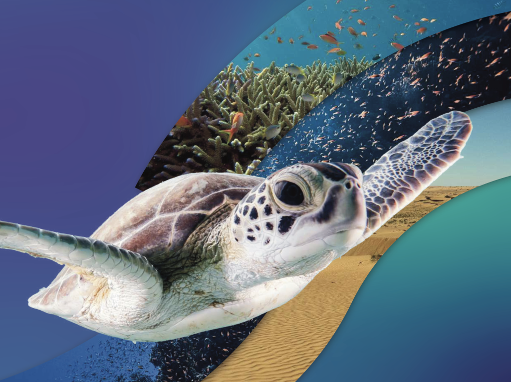 Background document cover