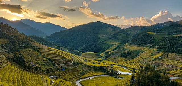 photo of rice terraces