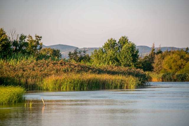 scenic river landscape in Greence