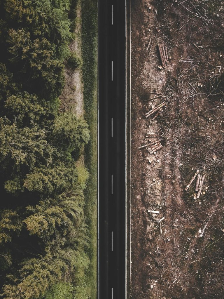drone shot an asphalt road in a forest