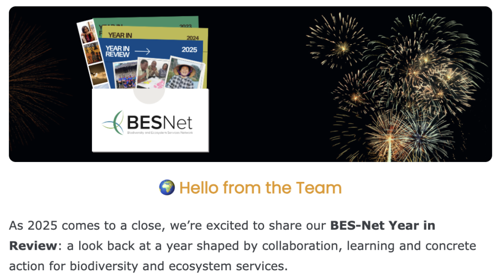 December 2025 newsletter banner