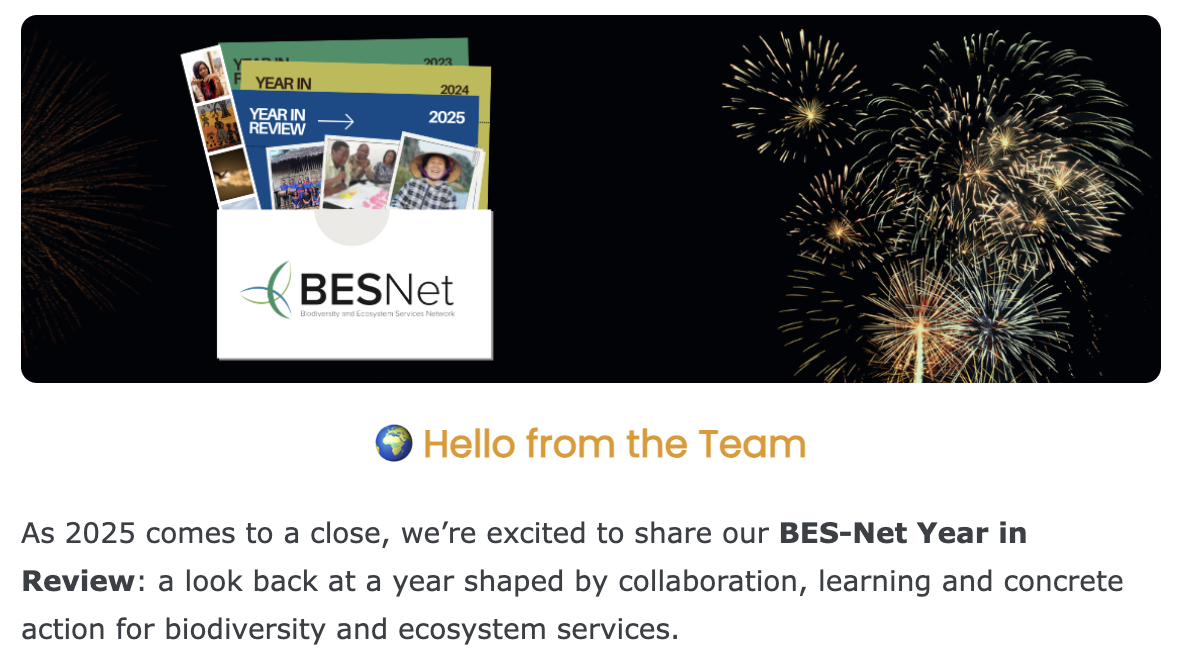 December 2025 newsletter banner