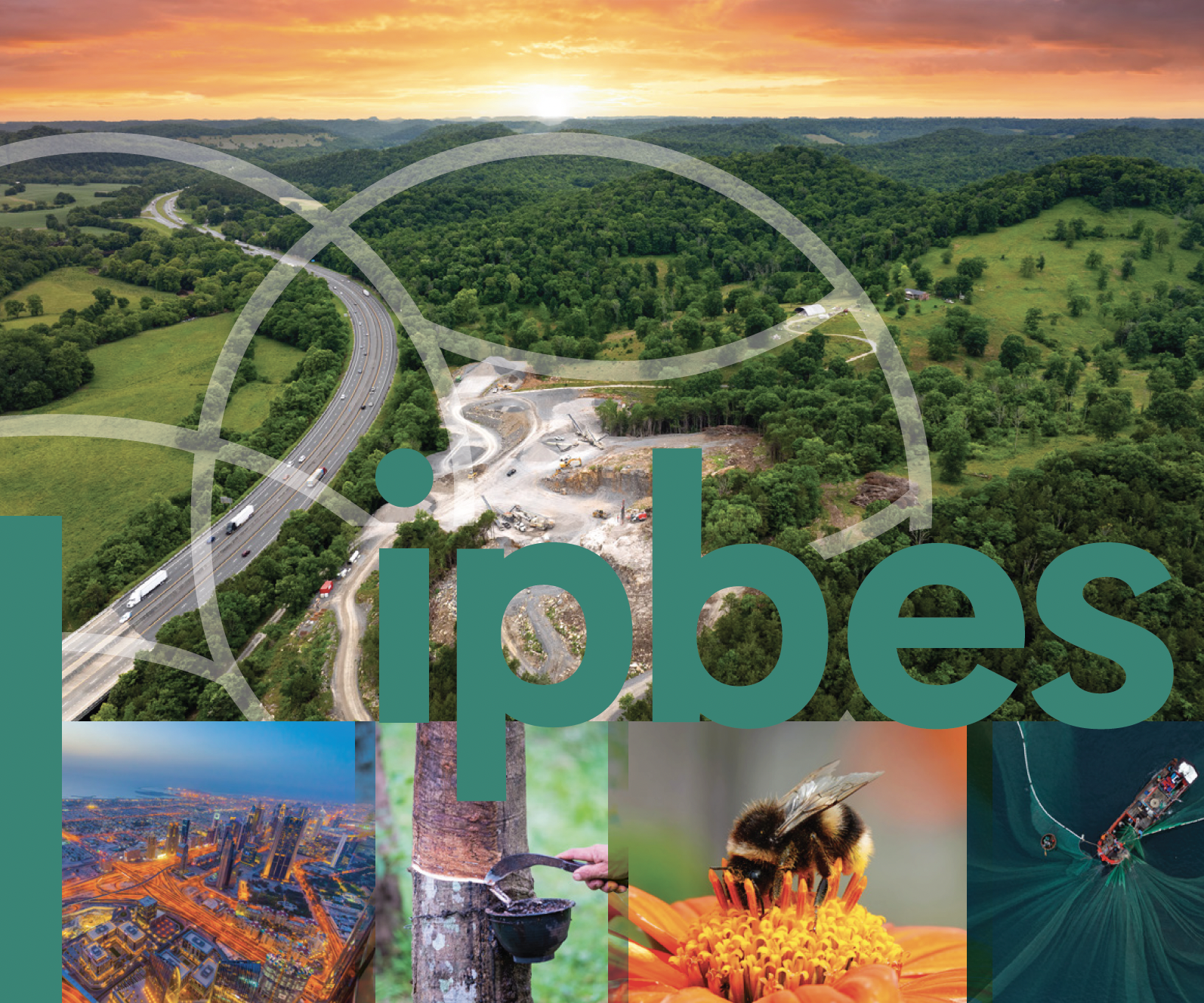 IPBES Business and Biodiversity Assessment