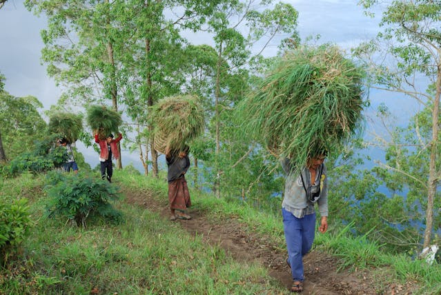 People Walking on Green Grass Field