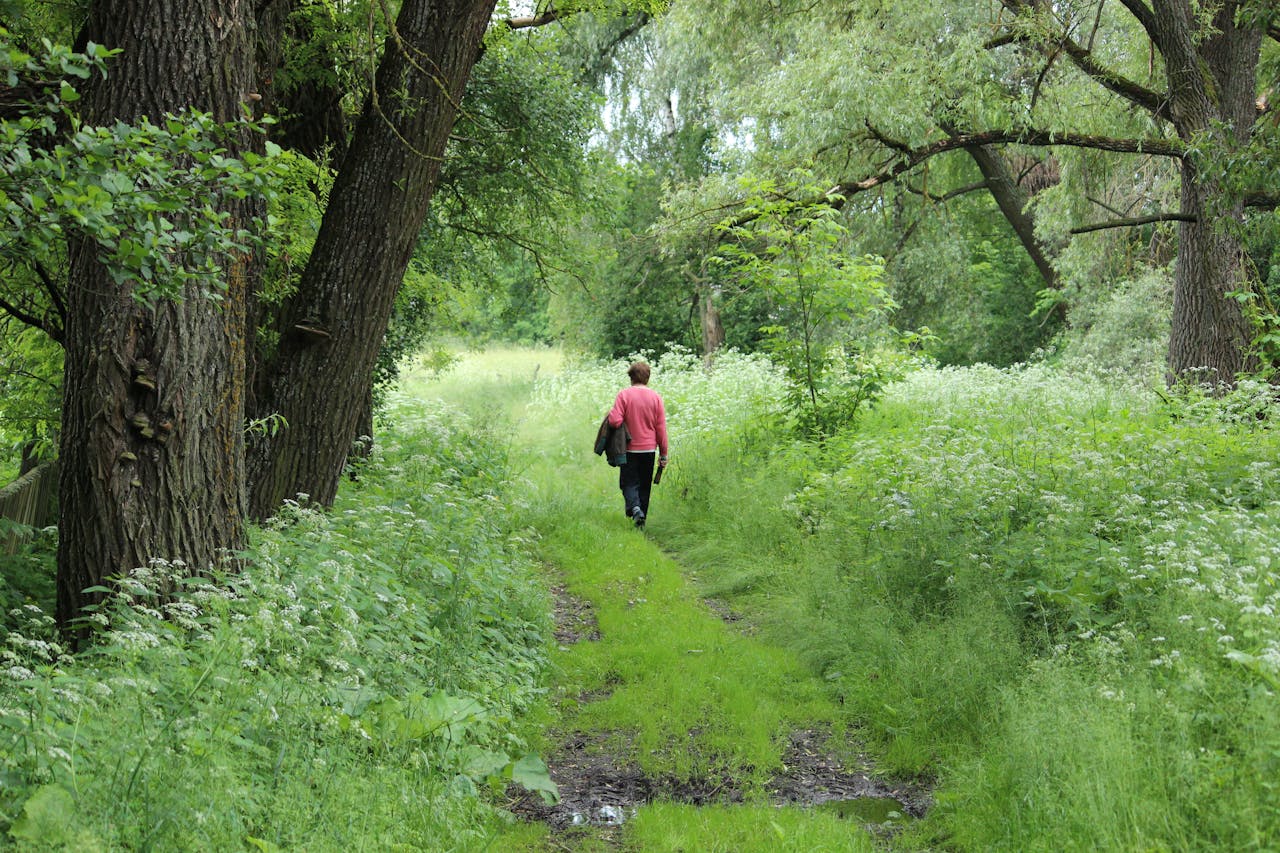 man walking along lush forest pathway