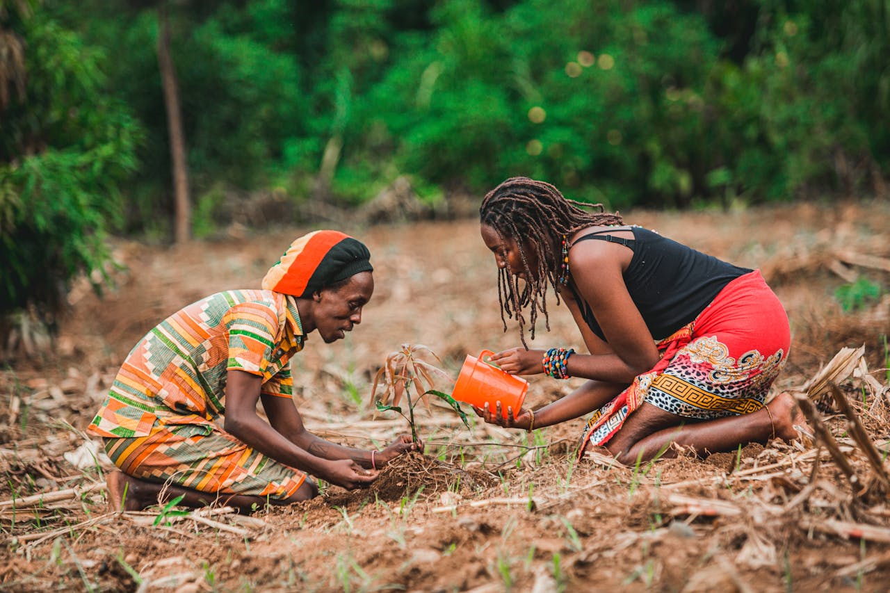 man and woman taking care of a plant