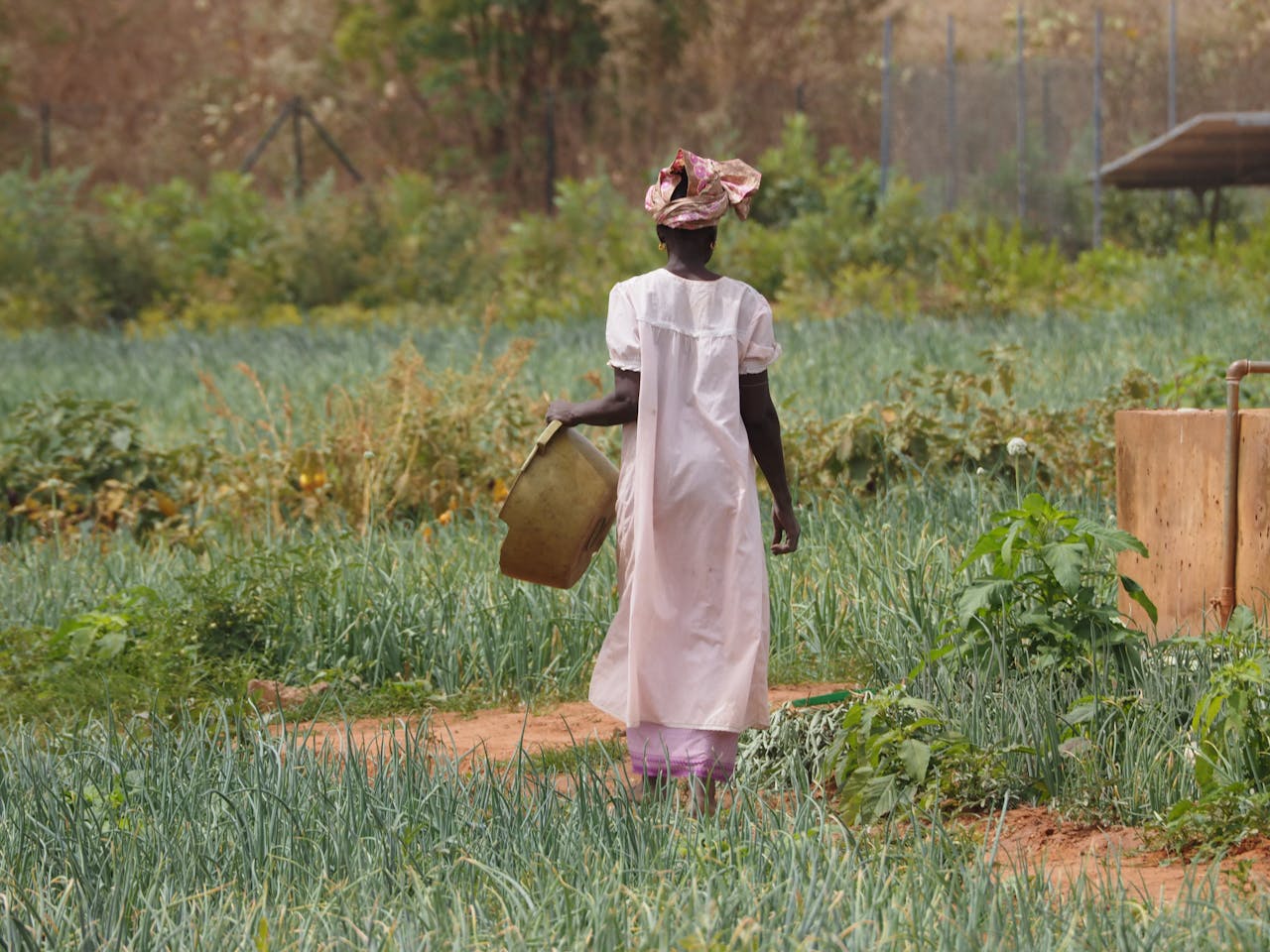 a woman holding a bucket at a garden