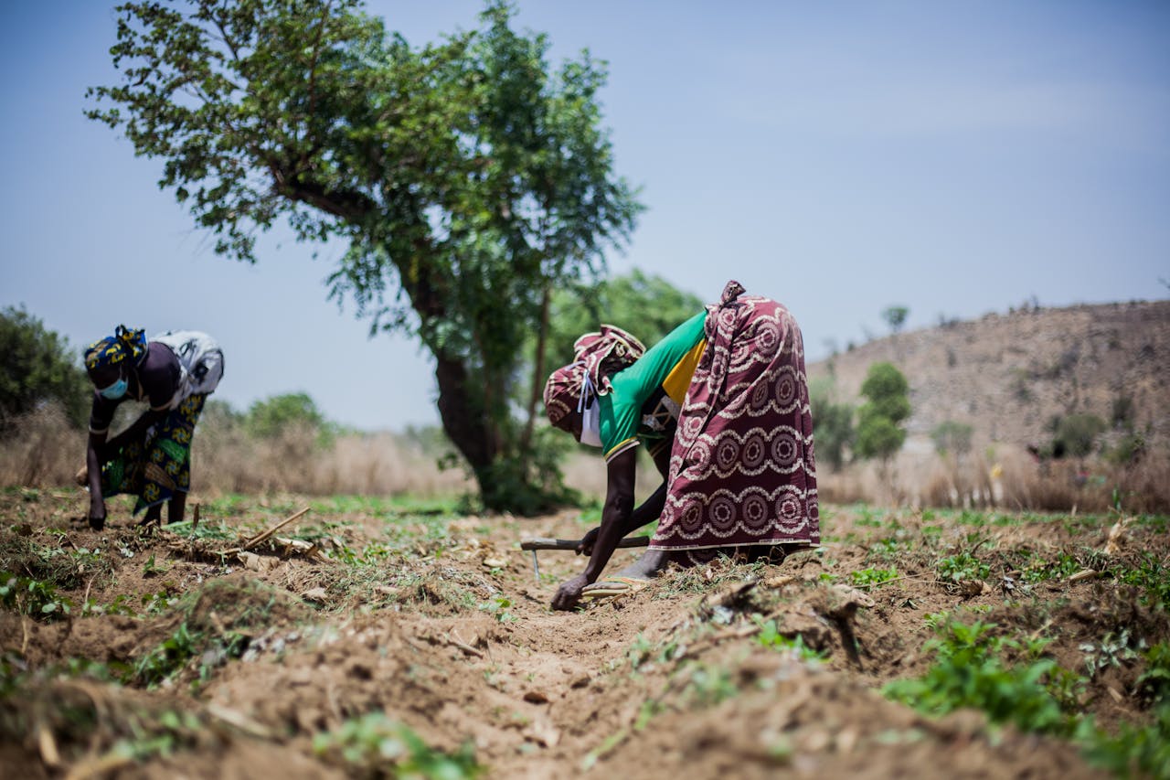 rural farmers tending crops