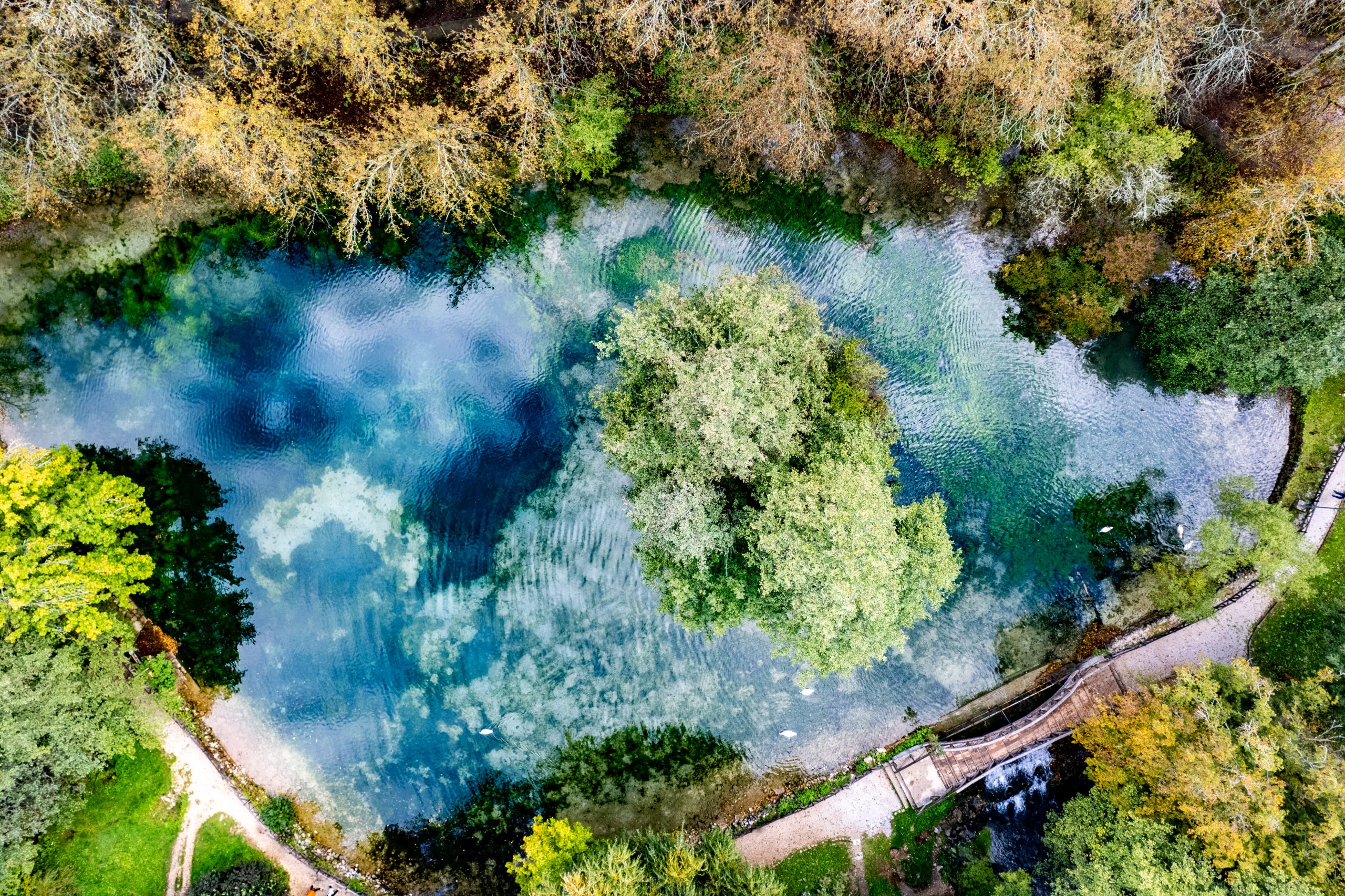 Aerial view of a small lake with clear blue and green water surrounding a tree-covered island, bordered by dense vegetation and a curved footpath.