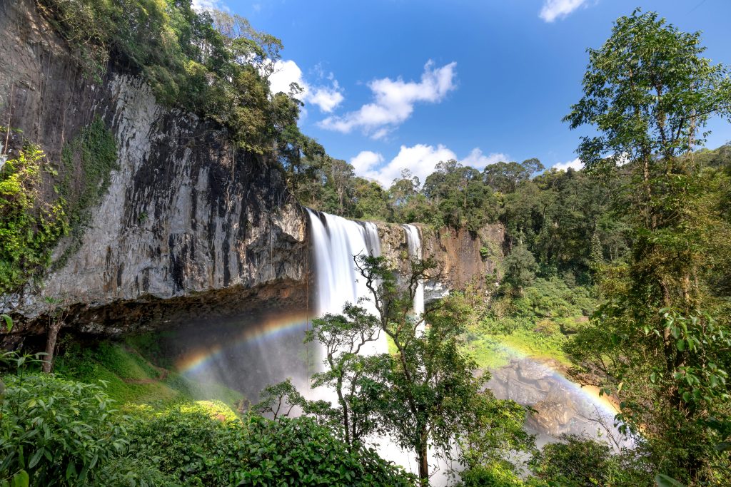 Photo by Quang Nguyen Vinh on Pexels