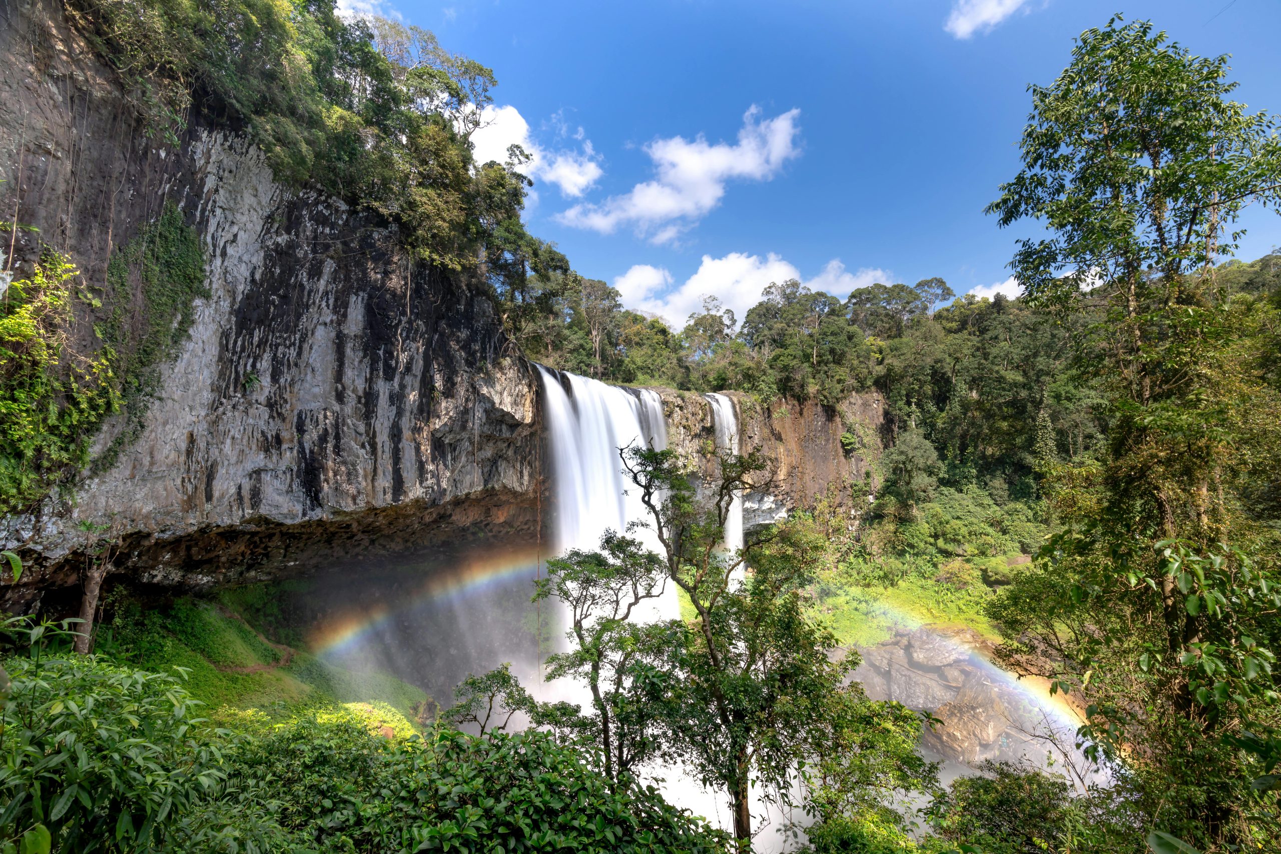 Photo by Quang Nguyen Vinh on Pexels