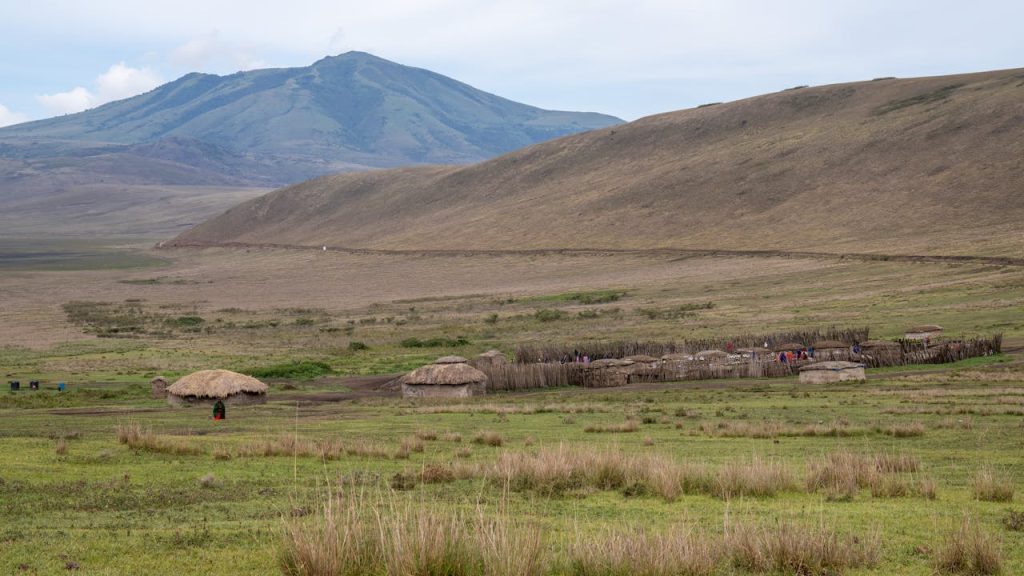 tribal huts on grassland