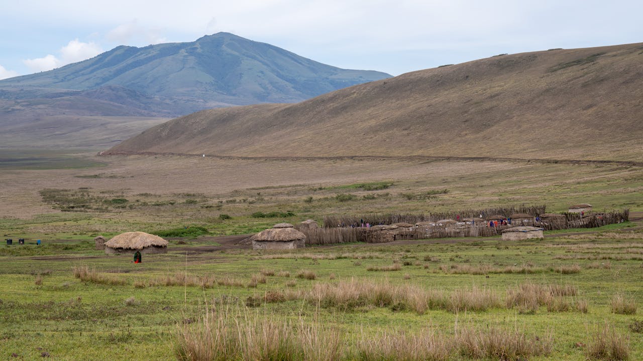 tribal huts on grassland