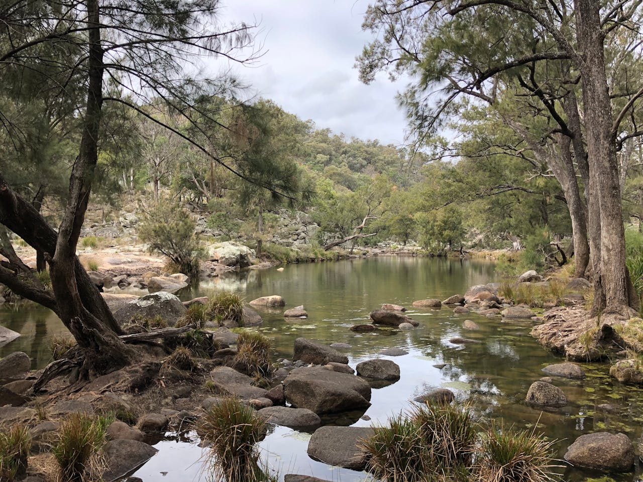 Tranquil creek surrounded by lush forest in Green Valley, Australia