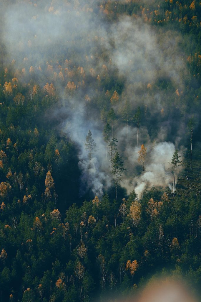 Aerial photograph capturing smoke rising through the colorful autumn forest scene