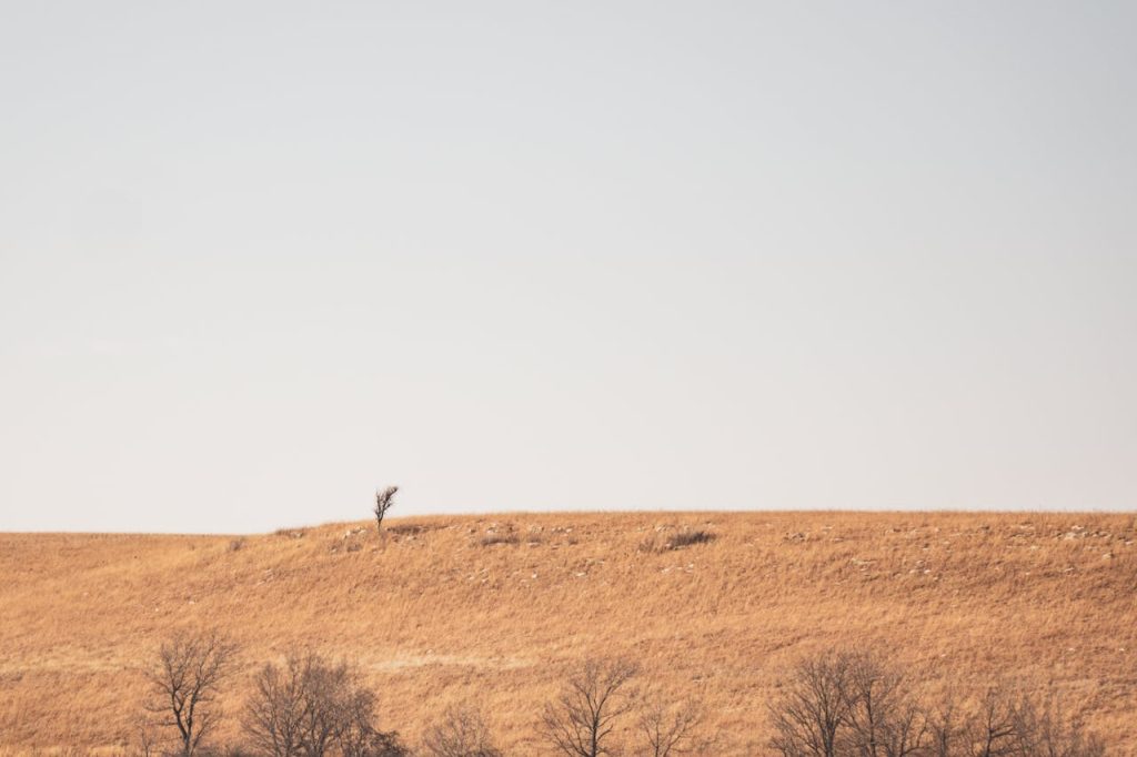dried hills under the sky