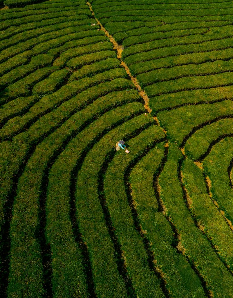 Image by urtimud on Pexels