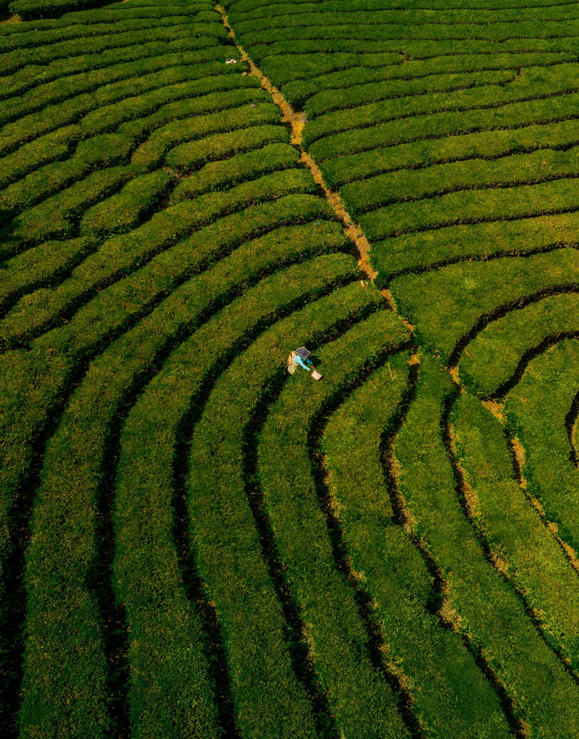 Image by urtimud on Pexels