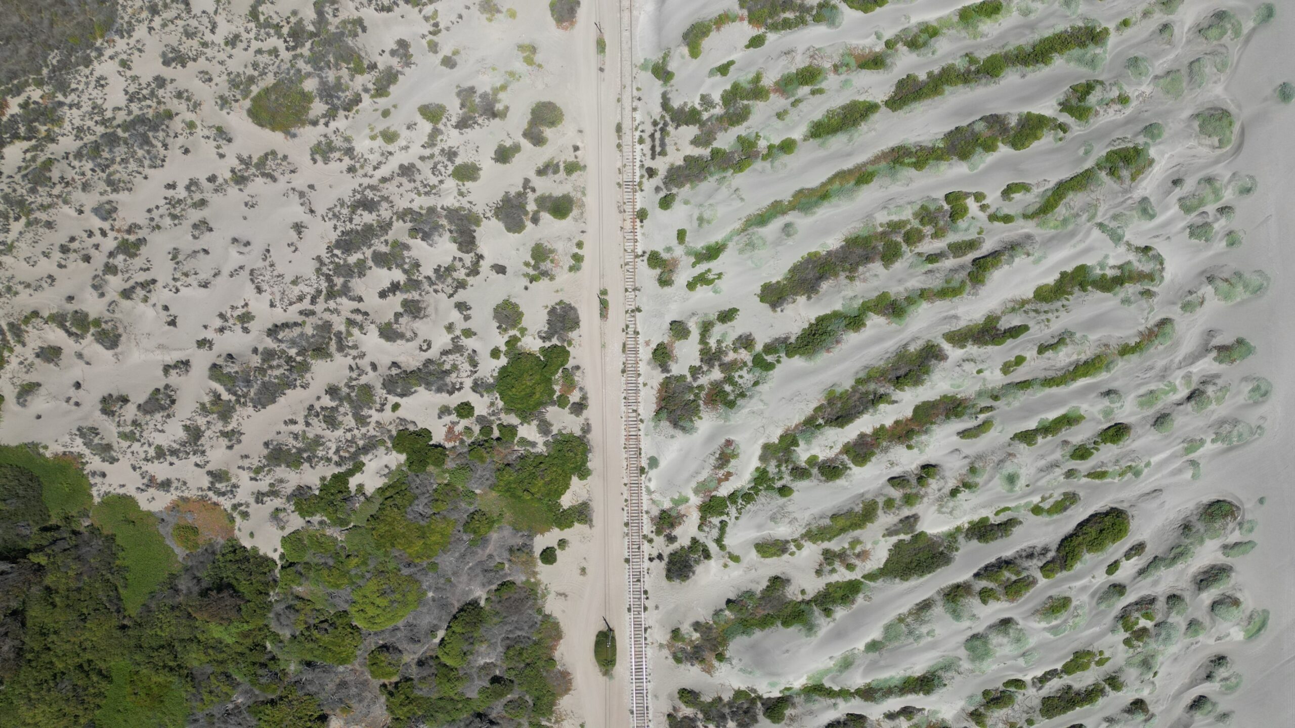 Aerial shot of a sandy coastal landscape with green vegetation and a dividing path