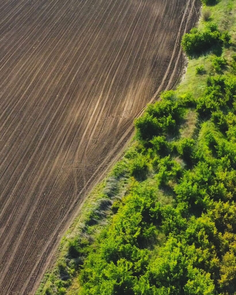 Photo by Dimitri Shteizel on Pexels https://www.pexels.com/photo/trees-by-the-field-in-summer-12485898/