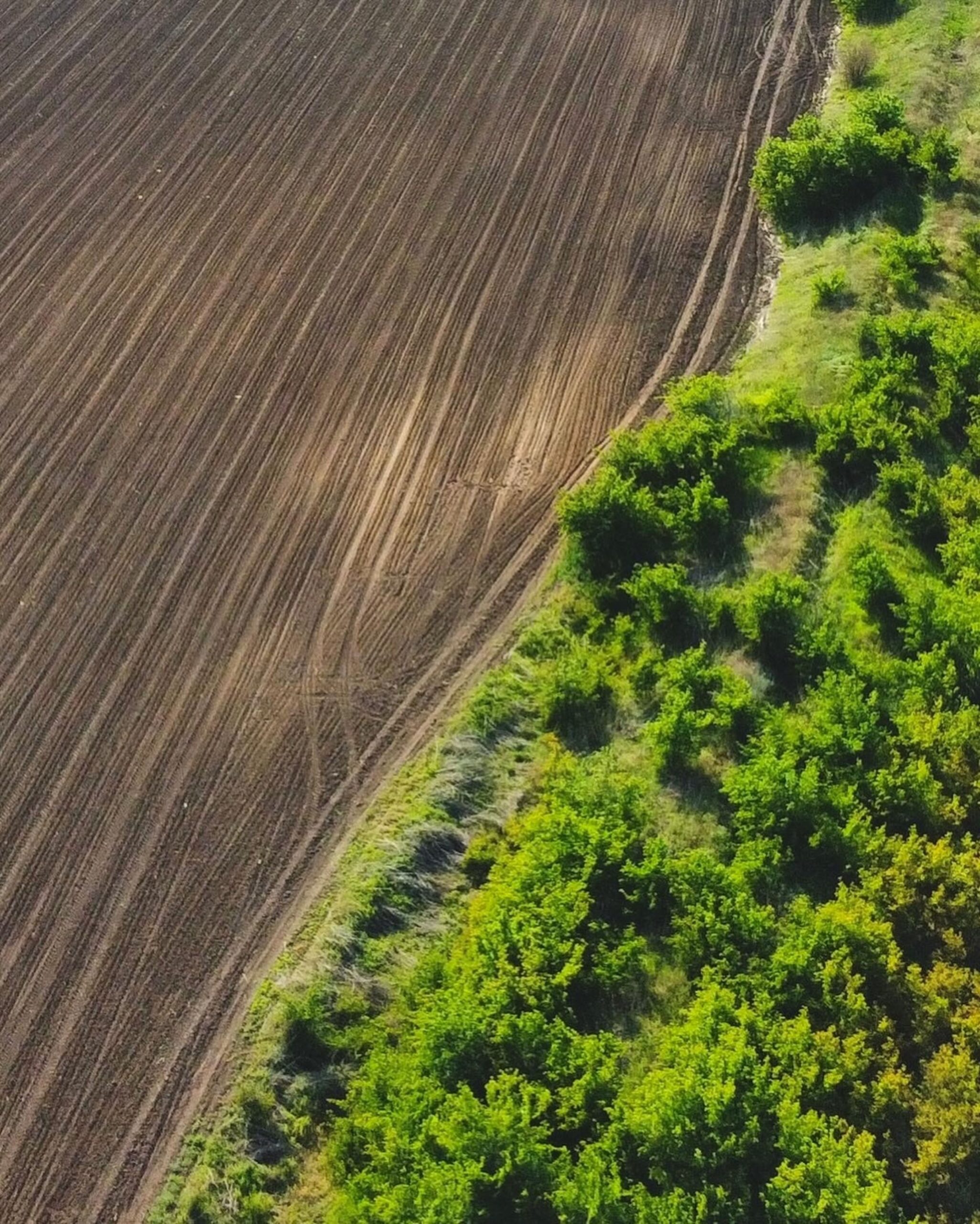 Photo by Dimitri Shteizel on Pexels https://www.pexels.com/photo/trees-by-the-field-in-summer-12485898/